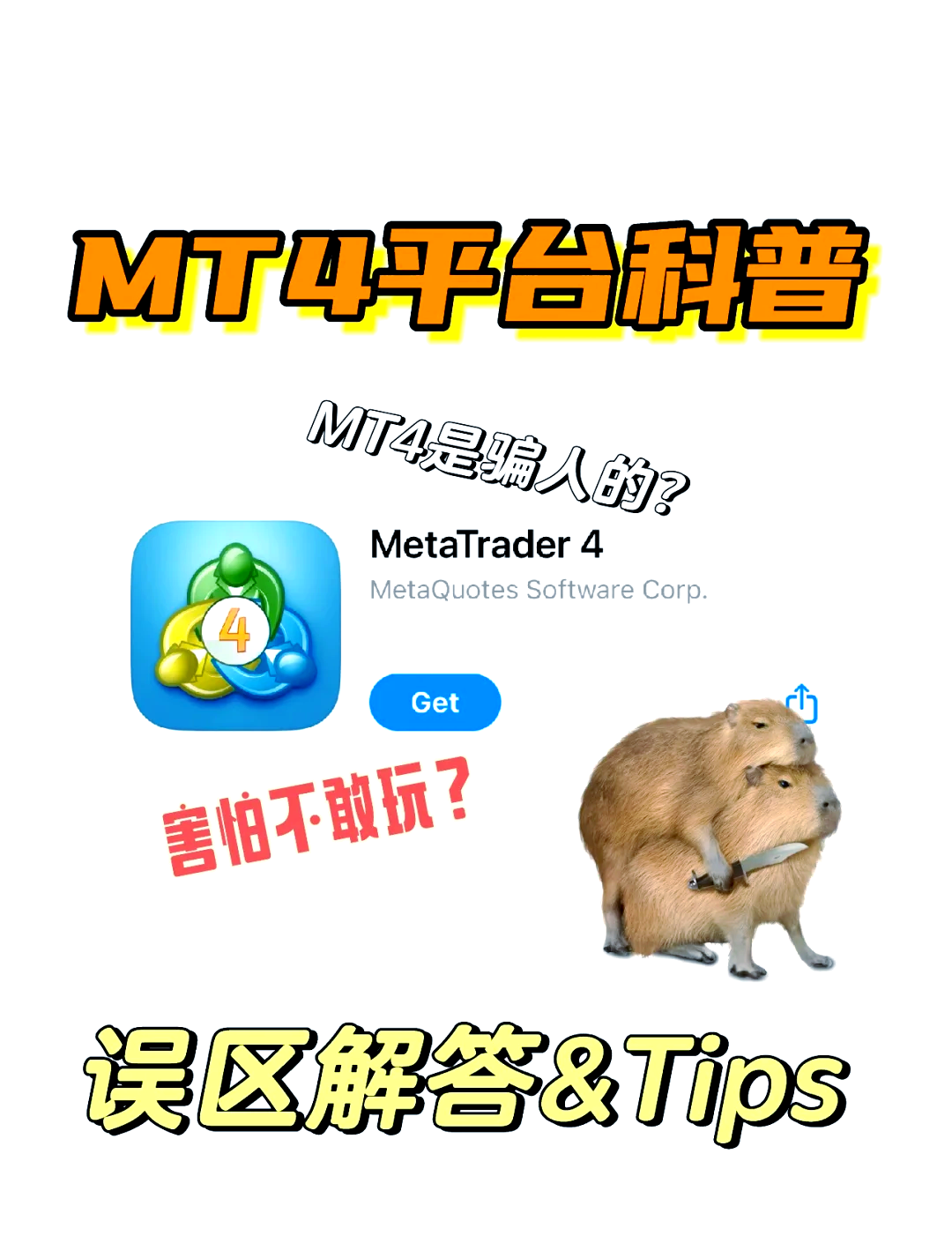 手机安卓版mt4下载(手机mt4平台下载安卓)