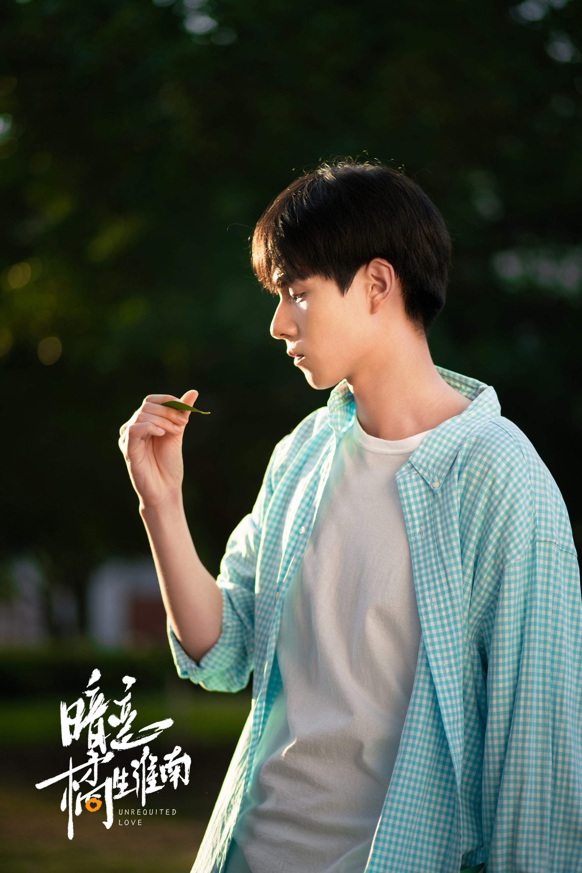 暗恋橘生淮南txt下载(暗恋橘生淮南txt全文番外)