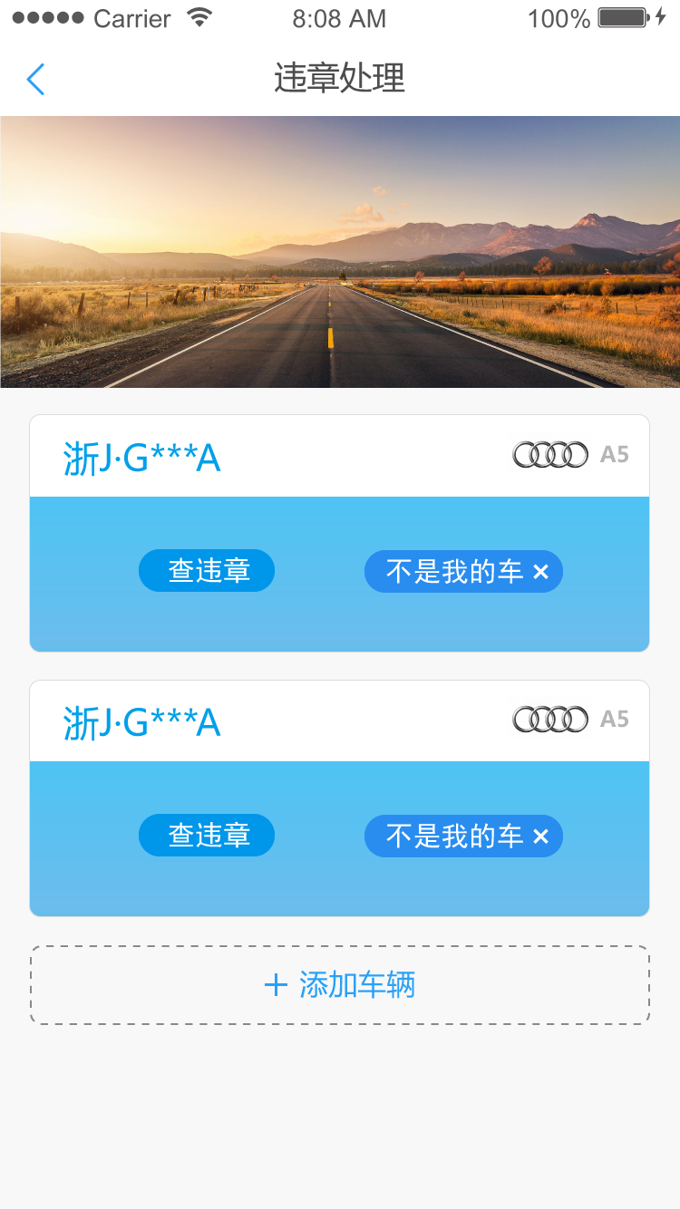网上车管所app下载(网上车管所app下载安装)