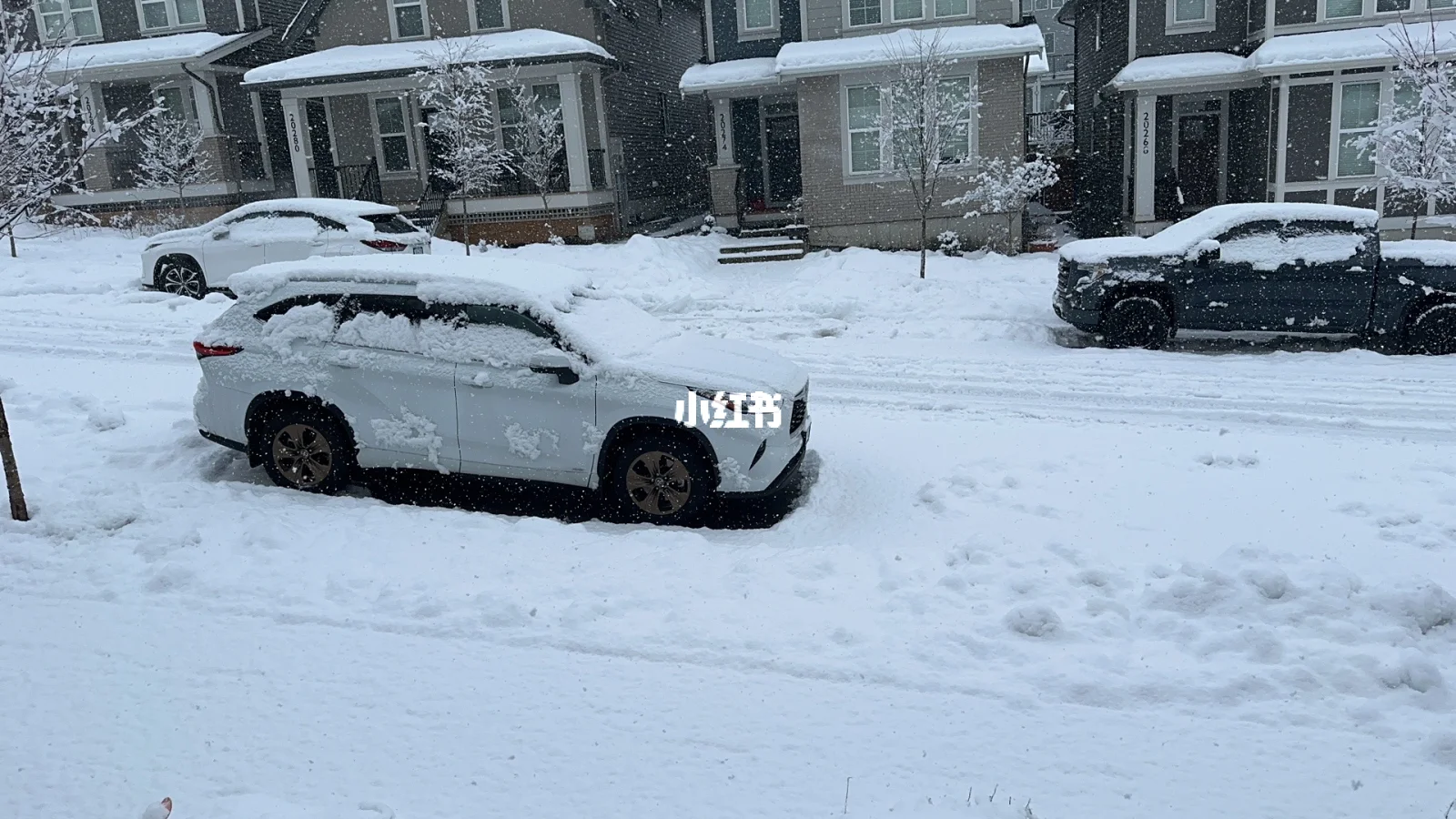 大雪看房视频下载-(大雪看房视频下载免费)